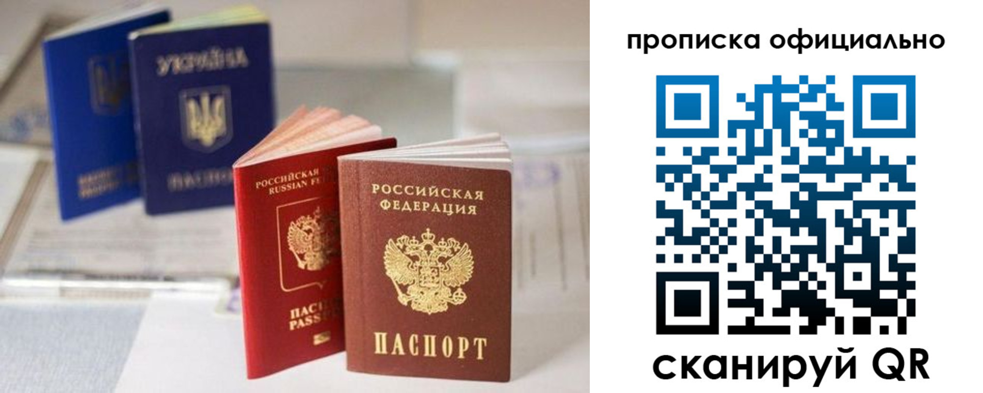 прописка поиск в Алексине